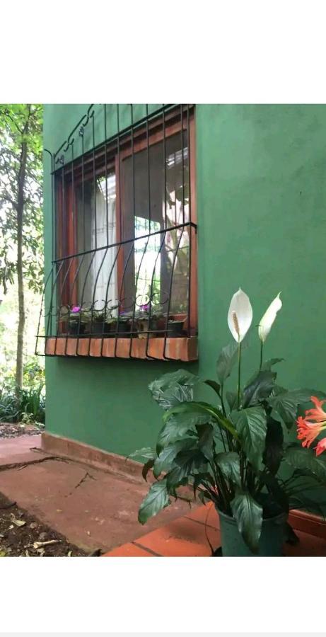 Jardín de Naipí Porto Iguaçu Exterior foto
