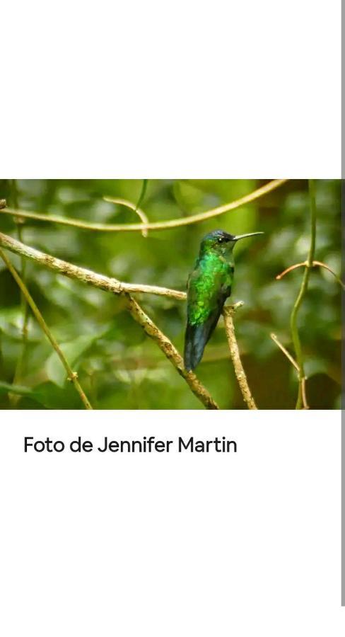 Jardín de Naipí Porto Iguaçu Exterior foto
